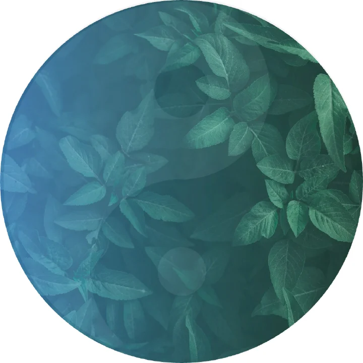 每每 - 其他类型 - 每每有心事，每每来解忧，这一次，跟自己和解。 AI产品