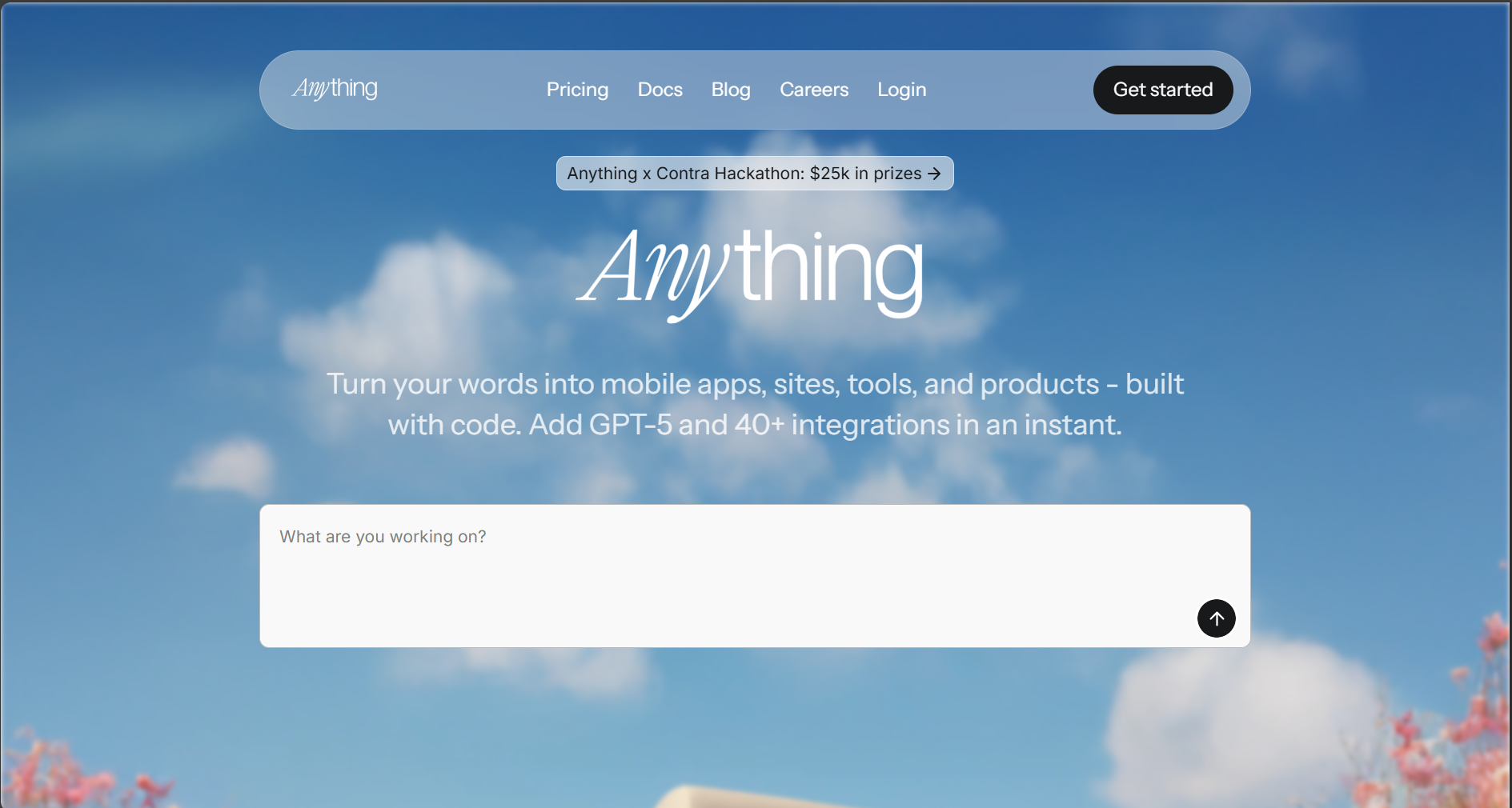 Anything 1