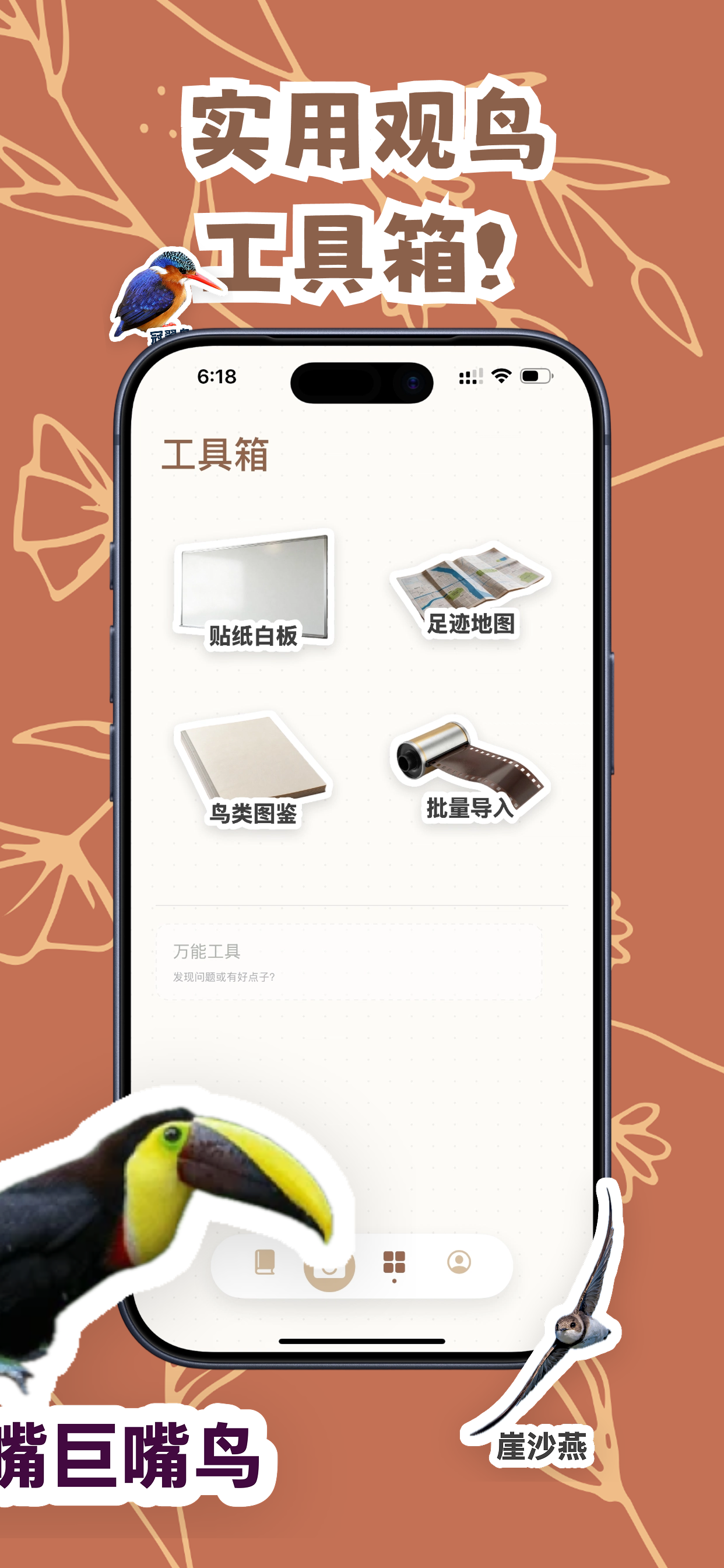 观鸟笔记 5