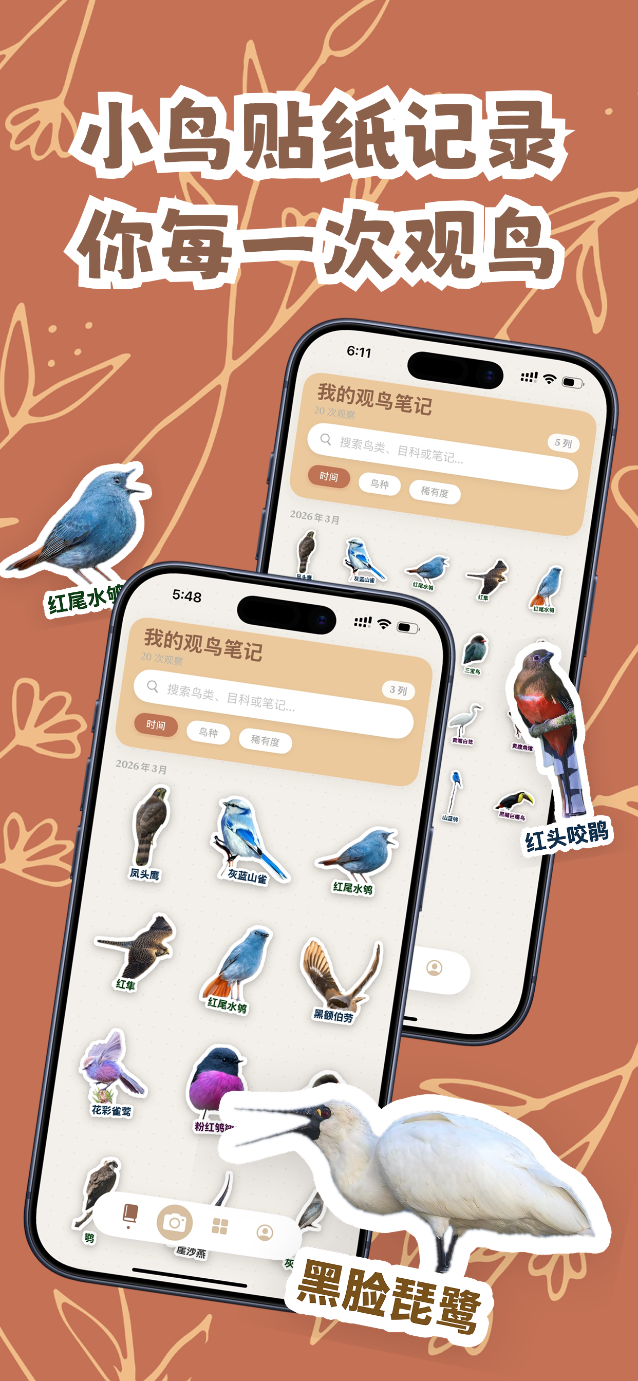 观鸟笔记 1