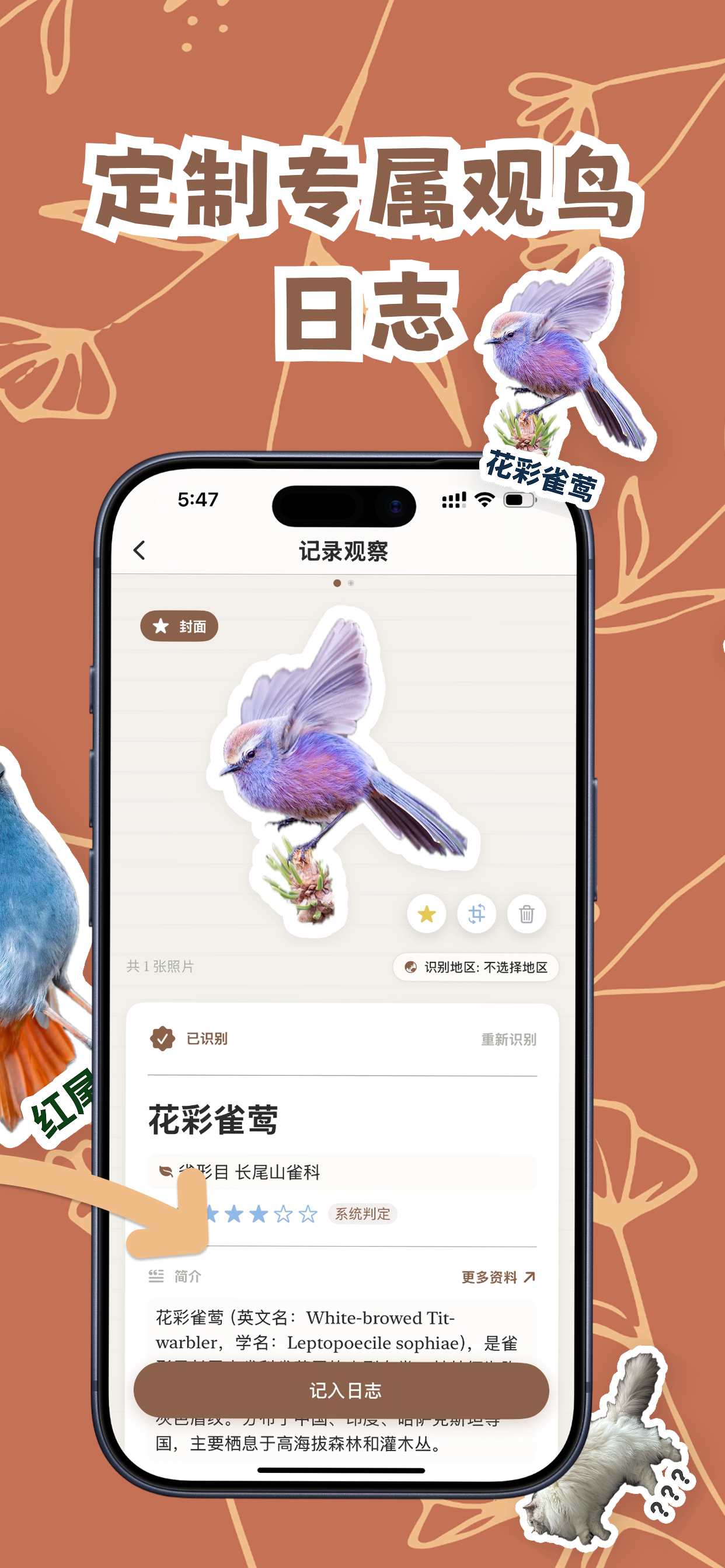 观鸟笔记 3