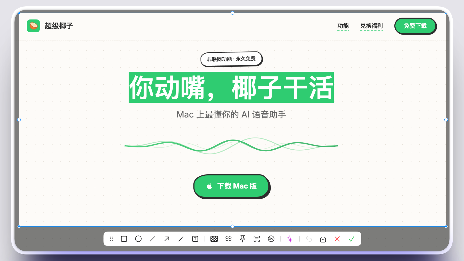 超级椰子 10