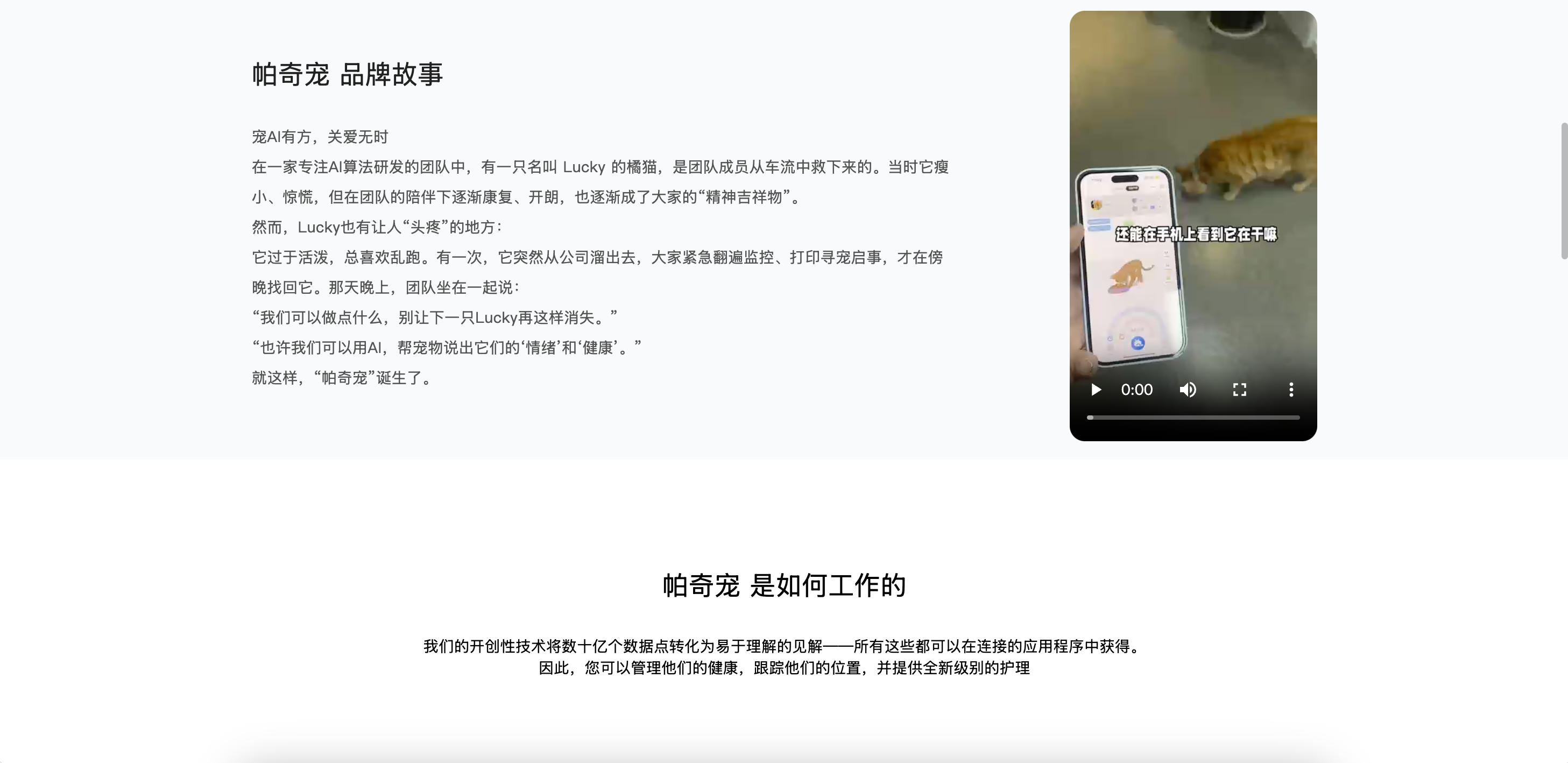 帕奇宠 1