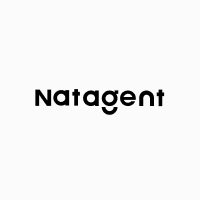 NatAgent - 效率工具 - AI 数据情报 Agent。 AI工具