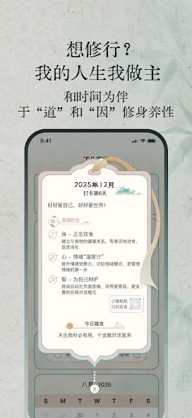 灵运猫 4