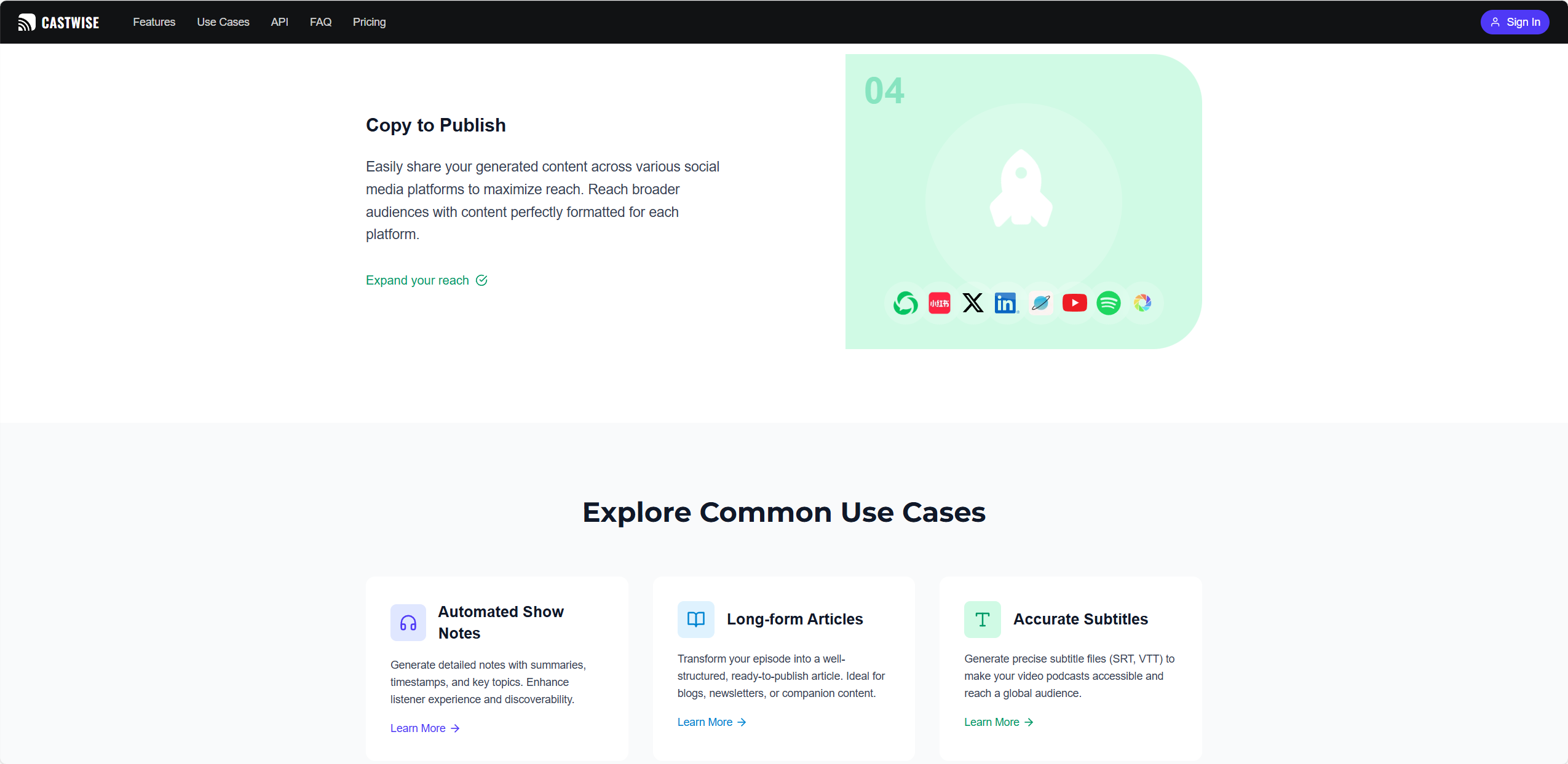 Castwise 5