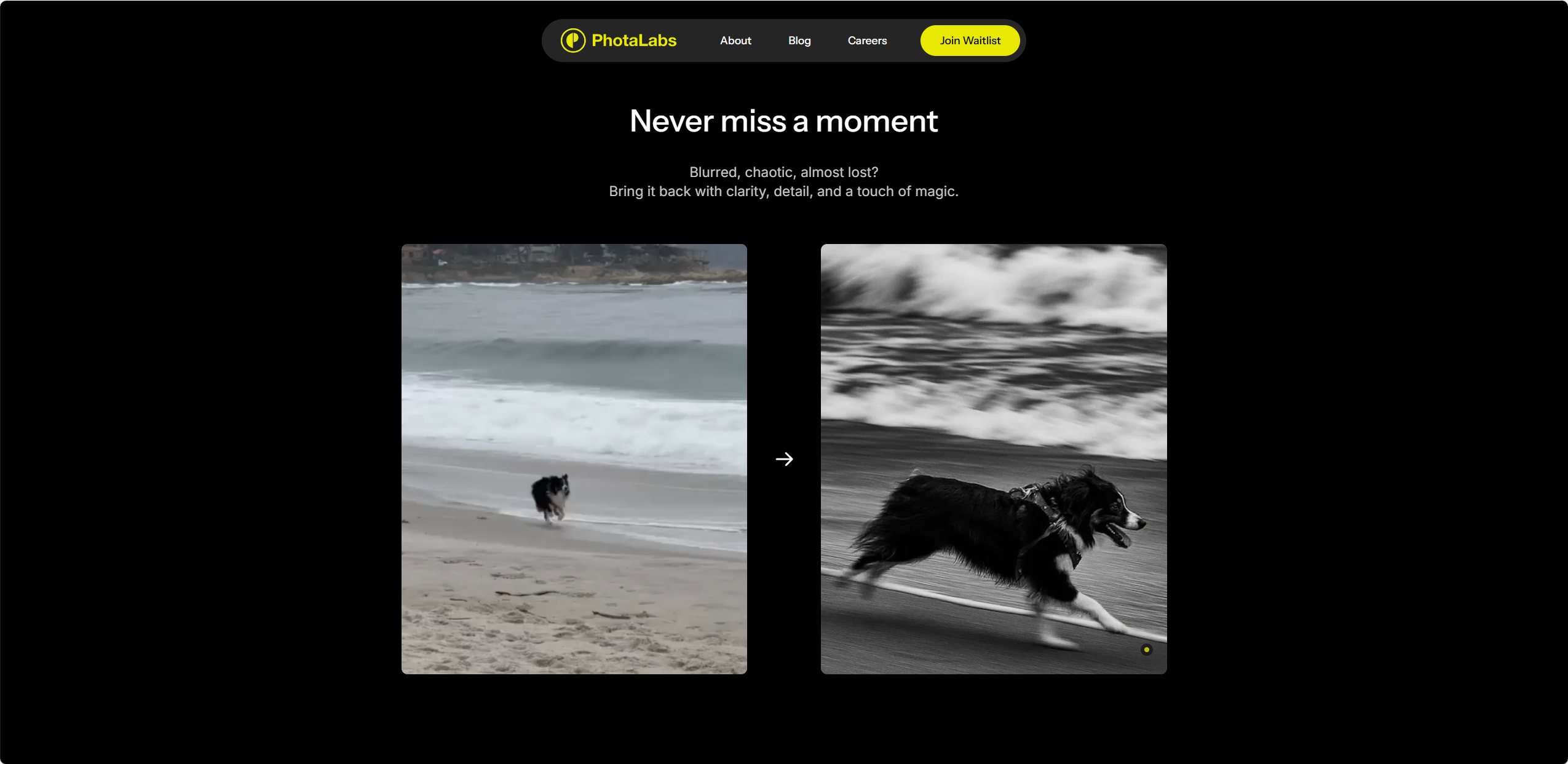PhotaLabs 3