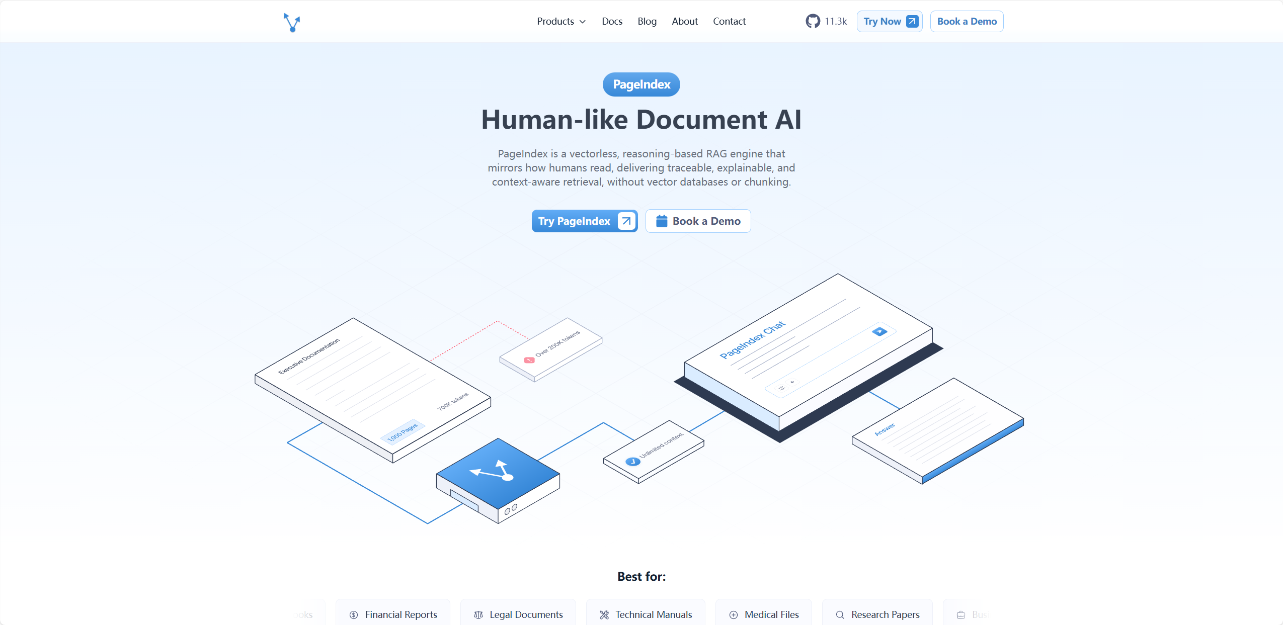 PageIndex 1
