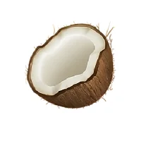 Coconote - 知识管理 - 专注表达，无需在记录上分心。 AI产品
