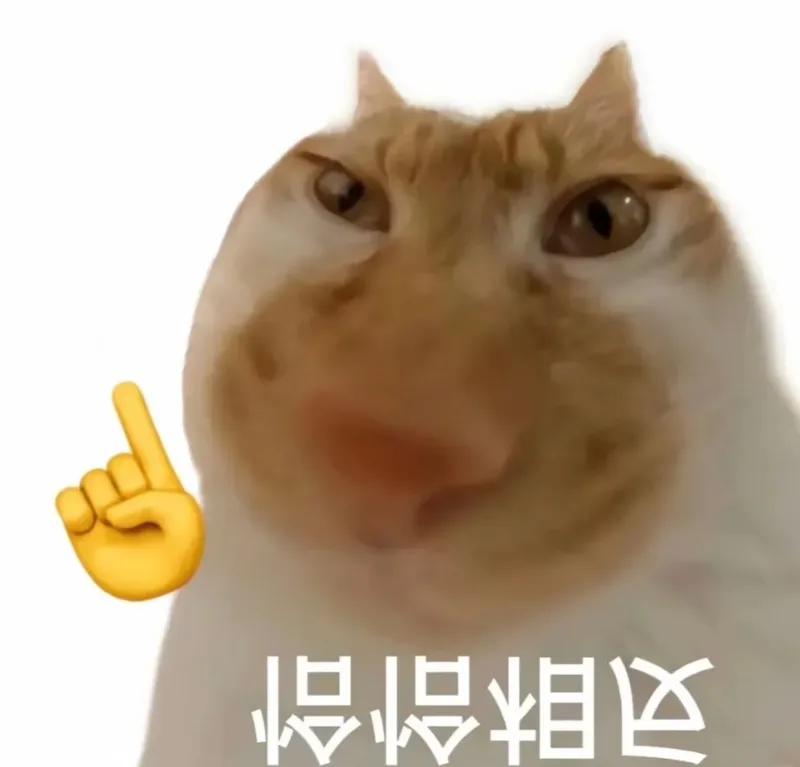 猫咪竖起手指的表情包