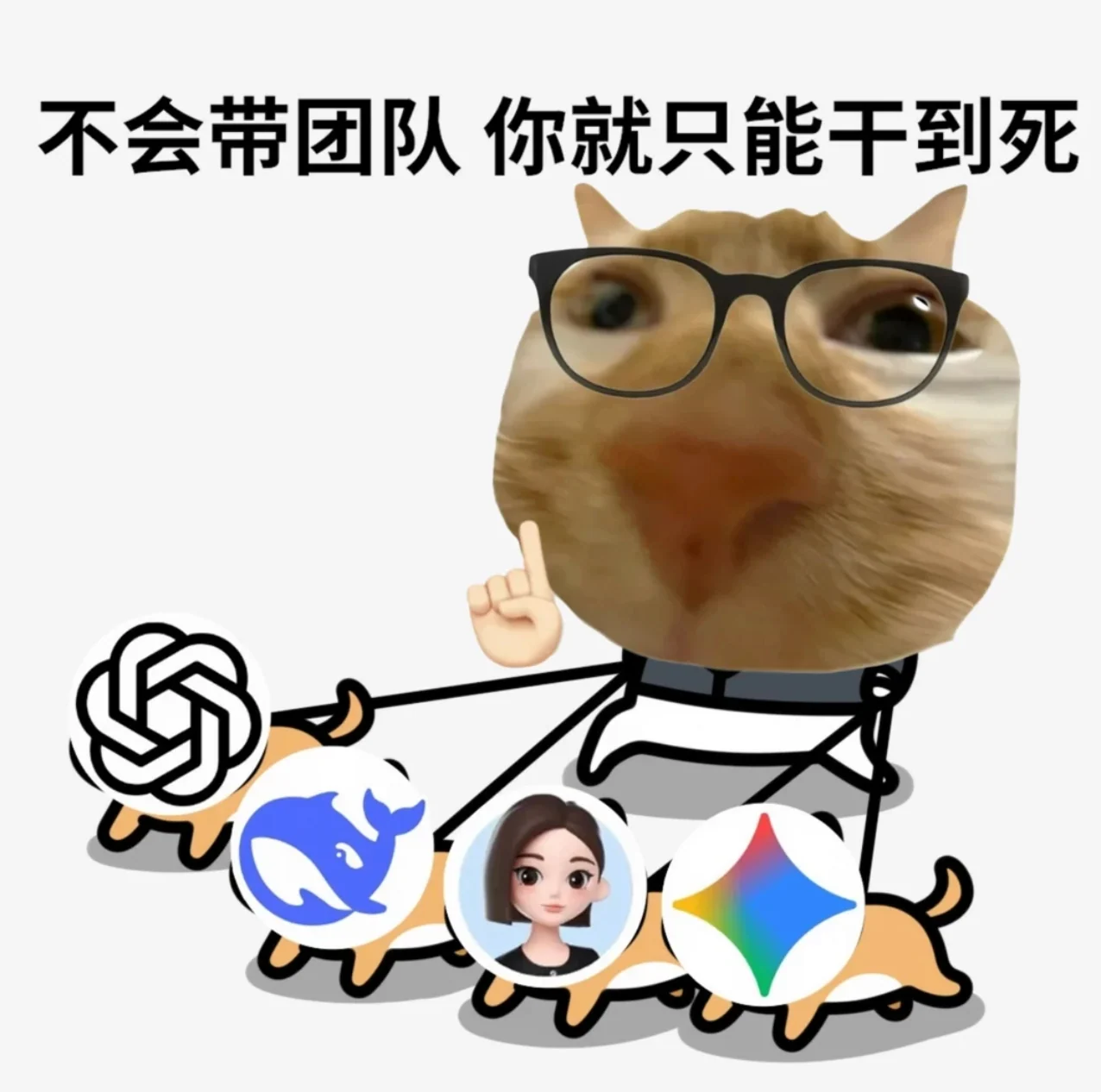 不会带团队就只能干到死的猫咪表情包